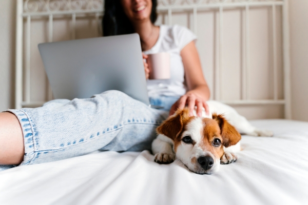 L'ABC Canin en Vidéo - une formation en ligne excellente pour tout les propriétaires de chiens - Un homme et des chiens