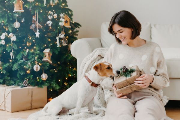 Les cadeaux de Noël parfaits pour les chiens et leurs