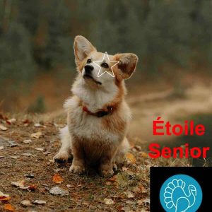 5 Étoiles : Formule ÉTOILE SENIOR Dinde 10lbs