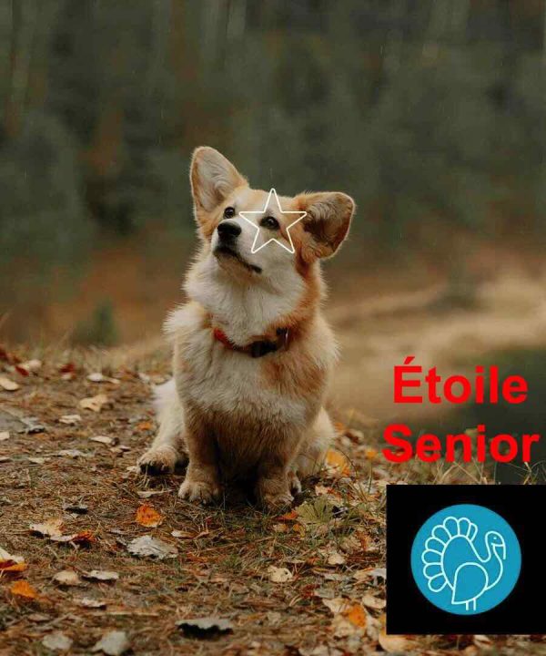 Dinde - Étoile-Senior