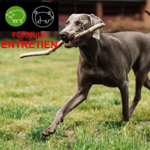 5 Étoiles : Formule Entretien Agneau-Porc 10lbs
