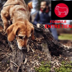 5 Étoiles : Formule Entretien Boeuf