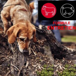 5 Étoiles : Formule Entretien Boeuf-Porc 10lbs