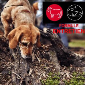 5 Étoiles : Formule Entretien Boeuf-Saumon 10lbs