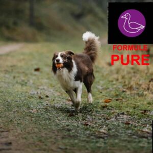 5 Étoiles : Formule PURE Canard 10lbs