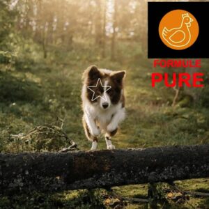 5 Étoiles : Formule PURE Poulet 10lbs